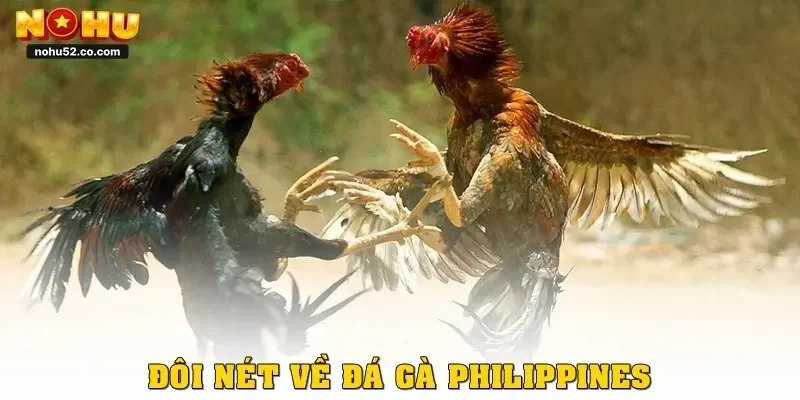Đôi nét về đá gà Philippines