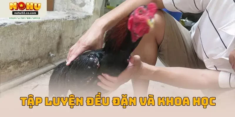 Nên xây dựng chế độ tập luyện đều đặn và khoa học