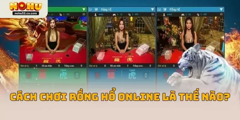 Cách chơi rồng hổ online là thế nào?